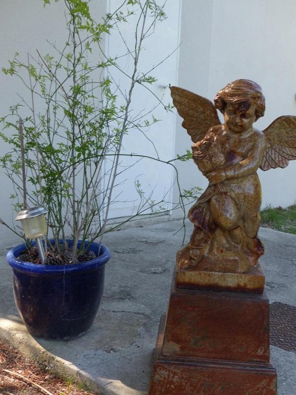 Les Anges LʼIsle-sur-la-Sorgue Exterior foto