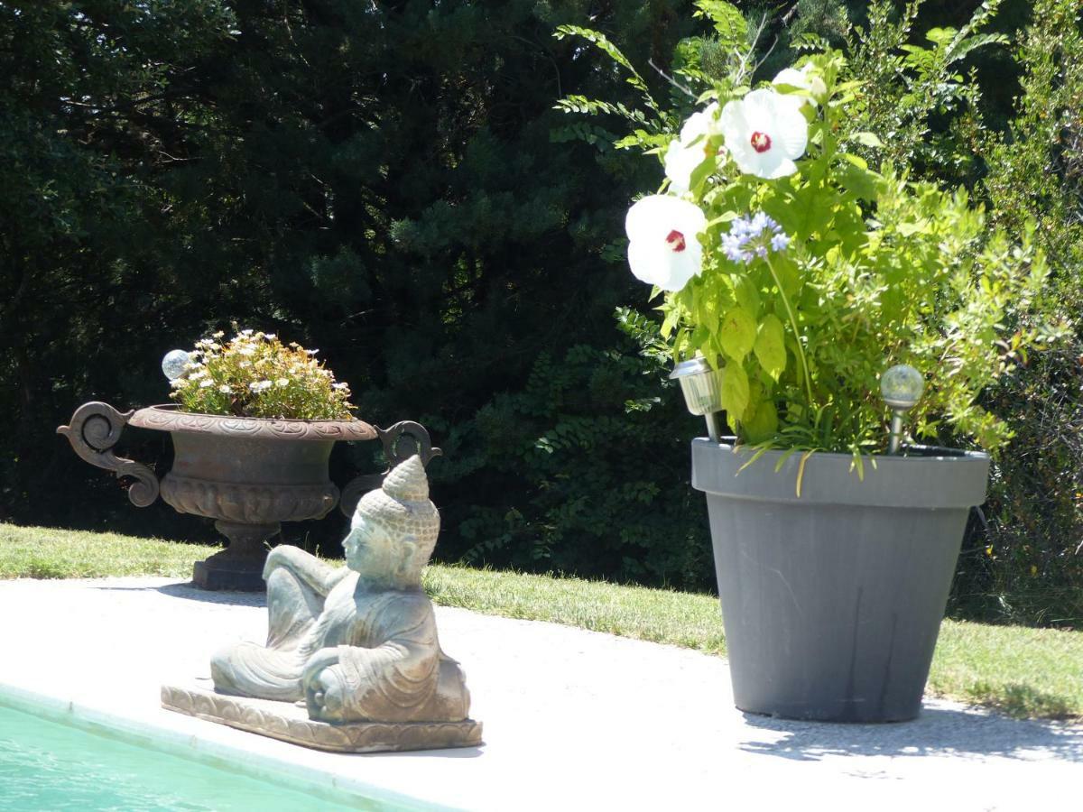 Les Anges LʼIsle-sur-la-Sorgue Exterior foto